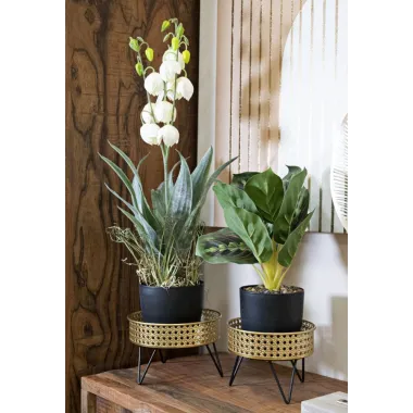 P/VASI BOSSY Para cm Ø20,5X13-18X13 MIN 2